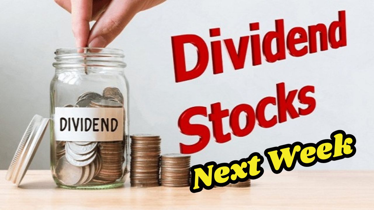 Dividend Stocks Next Week: Castrol India, IRFC, Angel One, PFC, and More to Trade Ex-Dividend