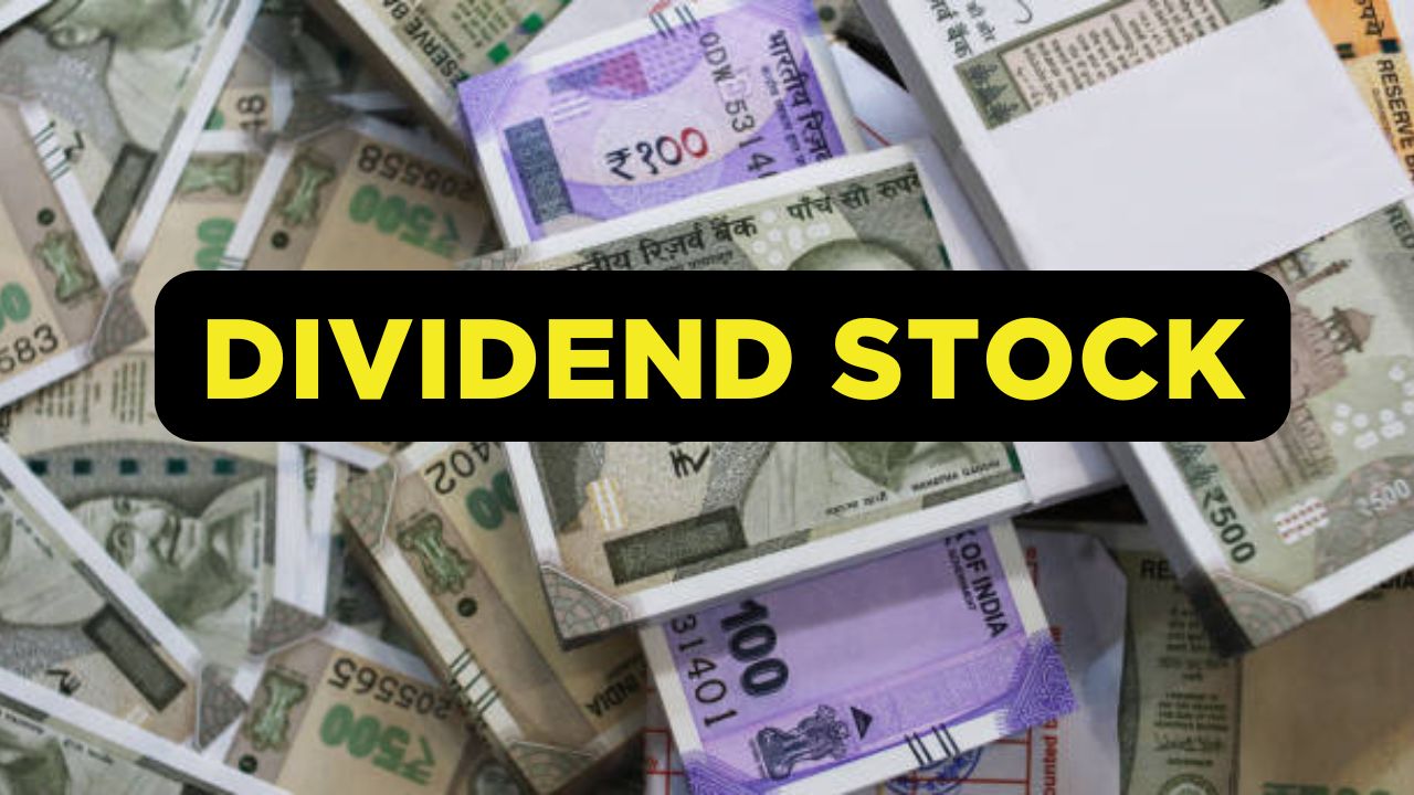 Dividend Stock 2025: Schaeffler India Will Give a ₹28 Dividend Per Share! Check the Record Date